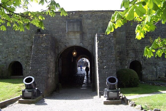Full Day Excursion to Dinant and Namur From Brussels - Meeting Point