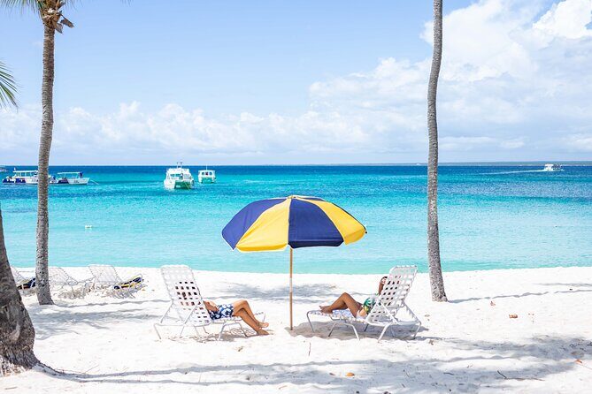 Full-Day Excursion to Discover Catalina Island with Lunch Option - Highlights and Authentic Insights