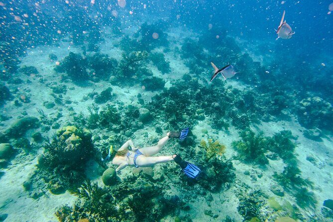 Full-Day Excursion to Discover Catalina Island with Lunch Option - Practical Considerations