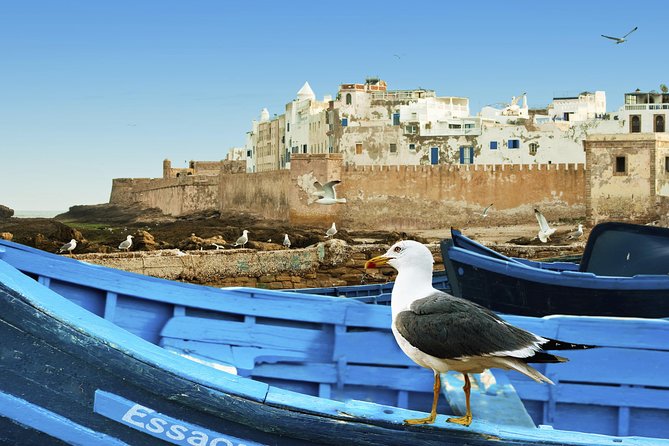 Full-Day Excursion to Essaouira From Marrakech - Good To Know