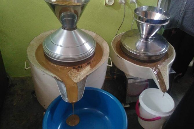 Full-Day Excursion to Essaouira From Marrakech - The Sum Up