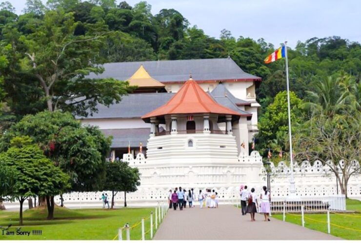 Full Day Excursion to Kandy & Pinnawala From Colombo/Negombo - Highlights