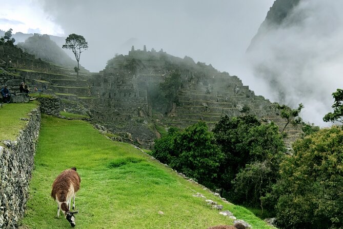 Full Day Excursion to Machu Picchu From Cusco - Overview and Inclusions