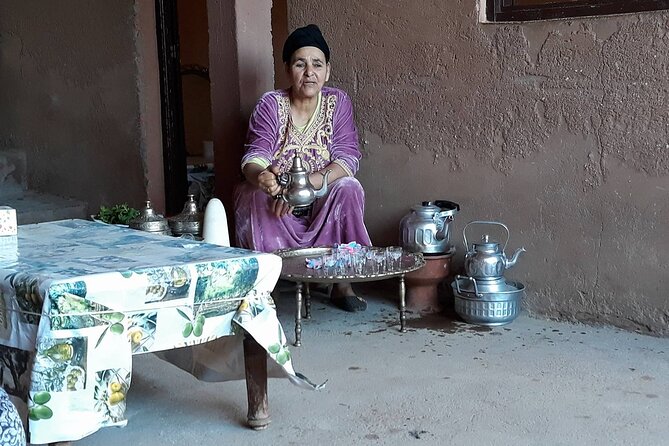 Full-Day Excursion to Ourika From Marrakech - Traveler Reviews and Ratings