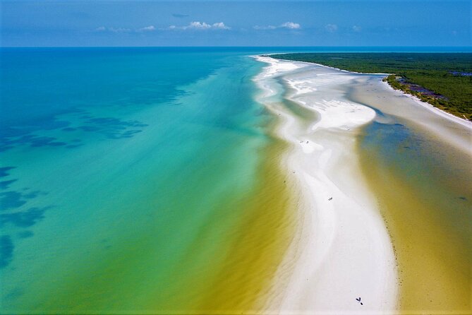 Full Day Excursion to the Best of Holbox From Riviera Maya - Pricing and Guarantee