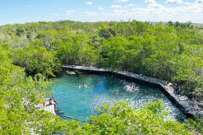 Full Day Excursion to the Best of Holbox From Riviera Maya - Inclusions