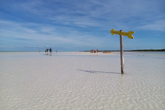Full Day Excursion to the Best of Holbox From Riviera Maya - Traveler Reviews