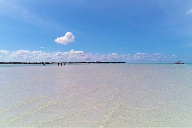 Full Day Excursion to the Best of Holbox From Riviera Maya - Common Questions
