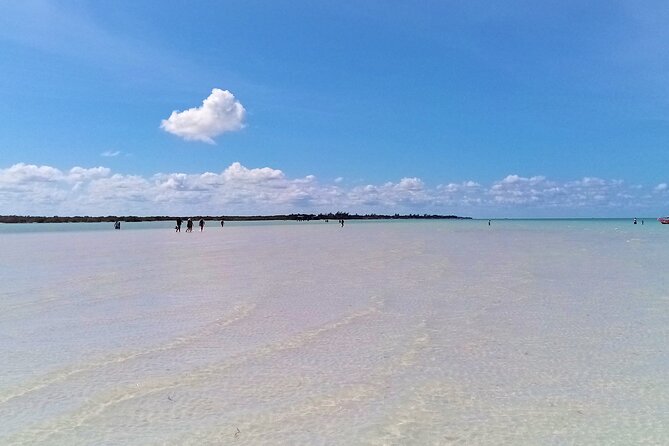 Full Day Excursion to the Best of Holbox From Riviera Maya - The Sum Up