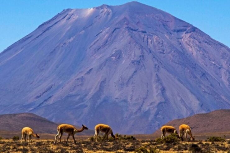 Full Day Excursion to the Salinas Lagoon Arequipa - Excursion Details