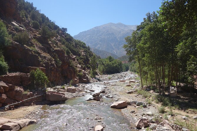 Full Day Excursion Tour to Ourika Valley - Tour Overview