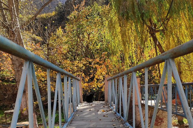 Full Day Excursion Tour to Ourika Valley - Inclusions and Exclusions