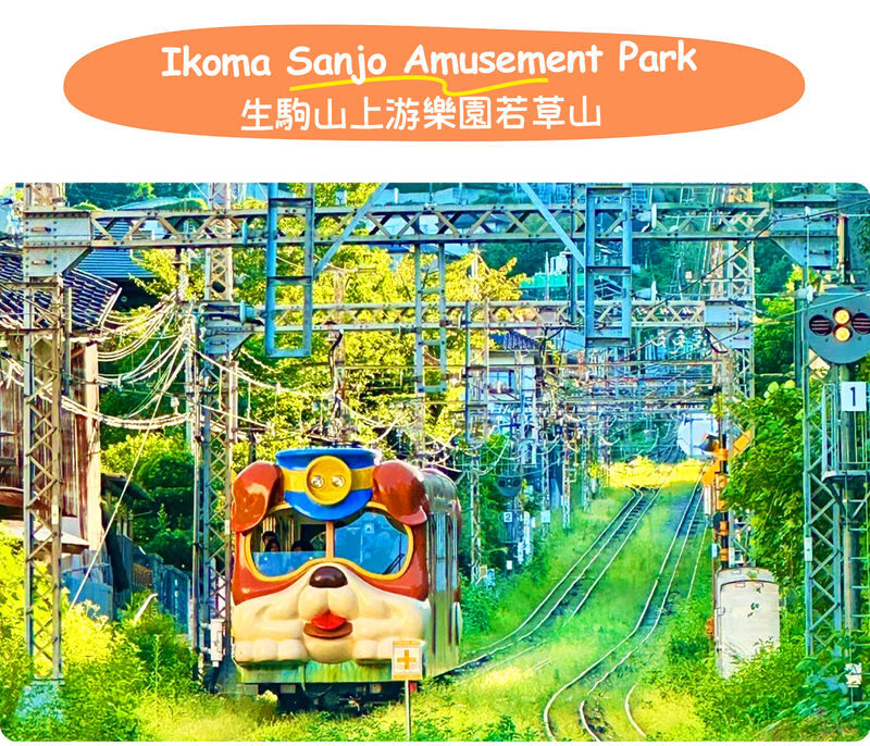 Full-day experience at Osaka Nara Park and Ikoma Sanjo Amusement Park, enjoying panoramic mountain views - Mount Wakakusa: a view with a seasonal footnote