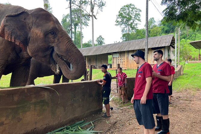 Full Day Experience at Ran-Tong Save & Rescue Elephant Centre - The Sum Up