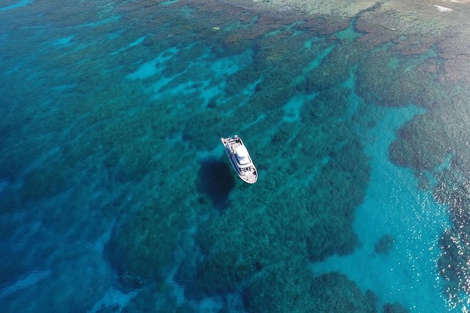 Full Day "Experience Diving" Trip at Kerama Islands - What To Expect