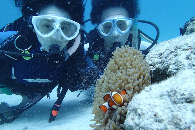 Full Day "Experience Diving" Trip at Kerama Islands - Start and End Time