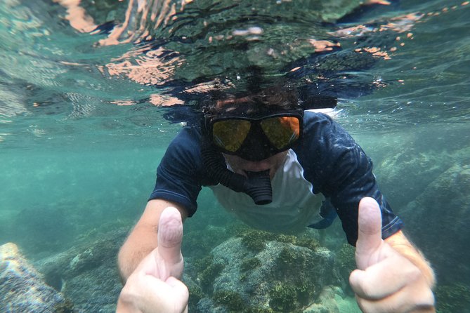 Full-Day Experience in Banderas Bay - Inclusions and Meeting Details