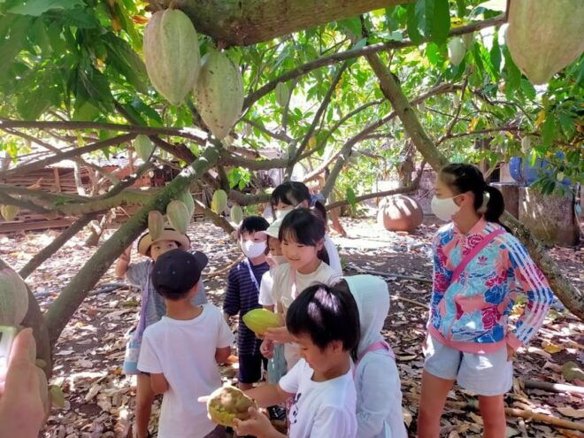Full Day Experience to Farm and Chocolate - Workshop Activities