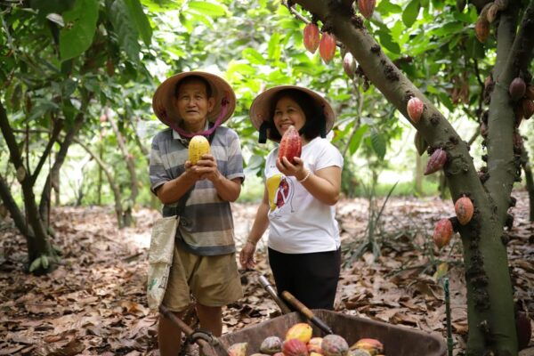Full Day Experience to Farm and Chocolate - Transportation Information