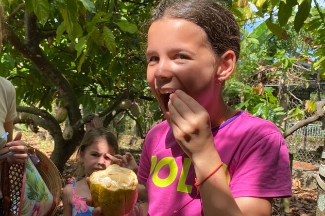 Full Day Experience to Farm and Chocolate - Good To Know