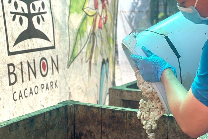 Full Day Experience to Farm and Chocolate - End Point