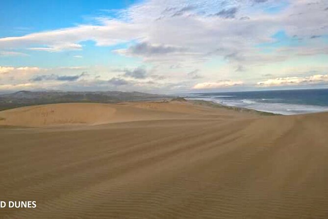 Full Day Explore Sigatoka Tour-Kula Eco Park,Sand Dunes,Fijian Village&Shopping - Immersive Fijian Village Visit