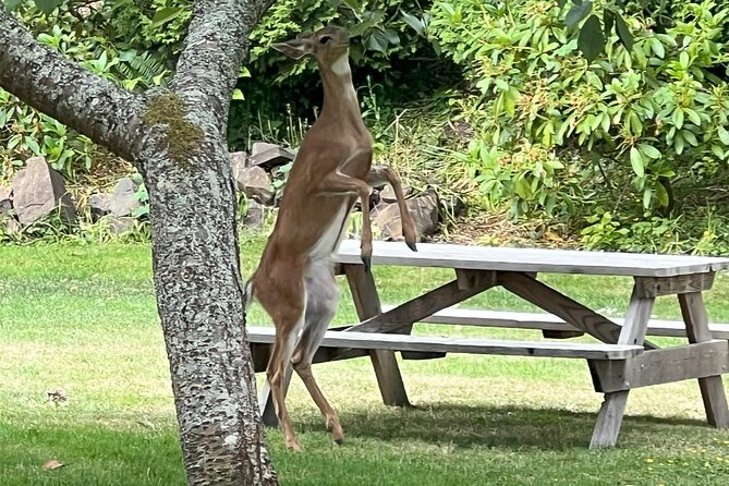 Full Day Exploring Astoria Through Seaside - Directions