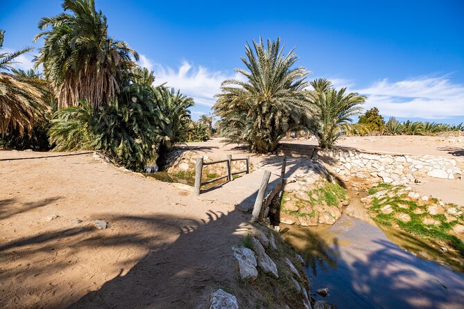 Full-Day Exploring The Land Of Midian & The Split Rock Of Moses - Dining Experience