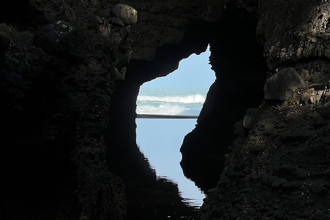 Full Day Exploring the Wild Piha Beach In Auckland - Hiking to Lion Rock