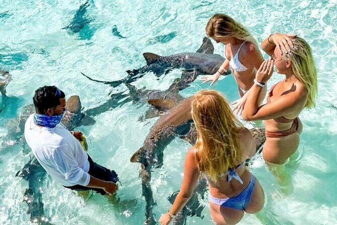 Full Day Exuma Swimming Pigs - Group Boat Tour From Nassau - Discovering the Exuma Cays – A Detailed Journey