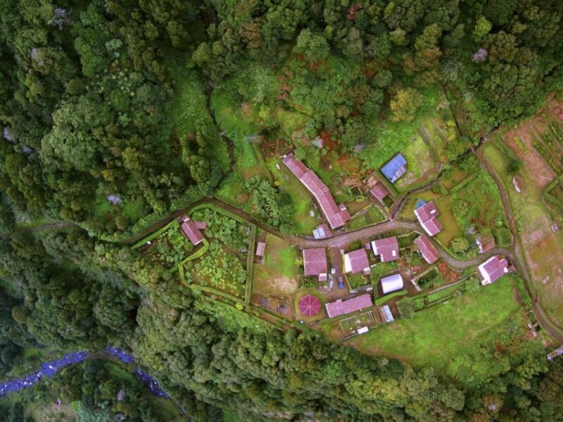 Full-Day Faial da Terra + Nordeste from Ponta Delgada - Full-Day Faial da Terra + Nordeste from Ponta Delgada