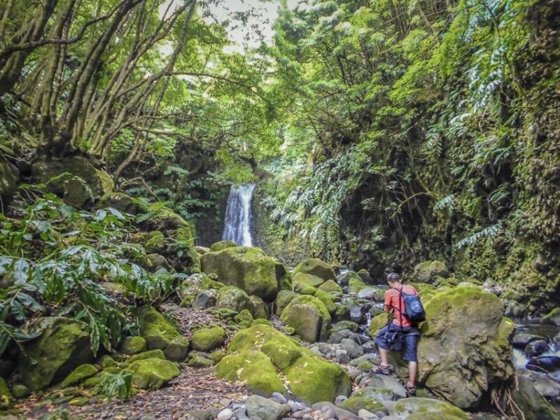 Full-Day Faial da Terra + Nordeste from Ponta Delgada - An In-Depth Look at the Tour Experience