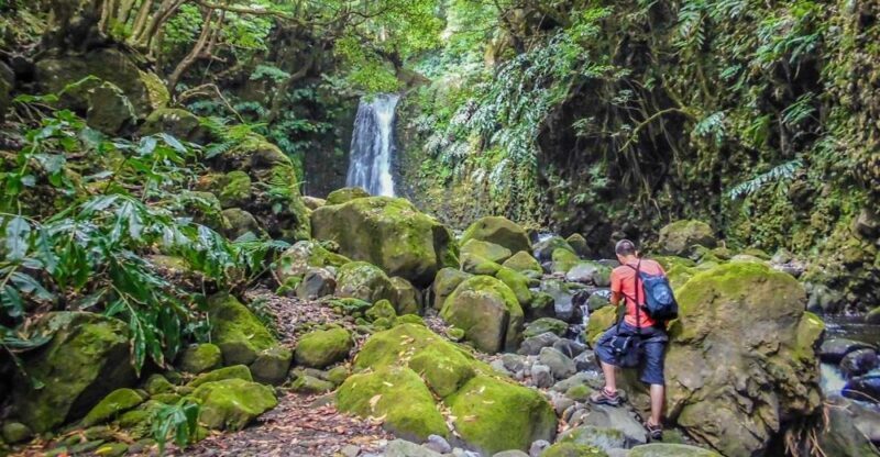 Full-Day Faial da Terra + Nordeste from Ponta Delgada - Why This Tour Offers Value