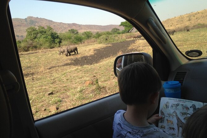 Full-Day Family Hluhluwe Imfolozi Park Safari Experience - Reviews