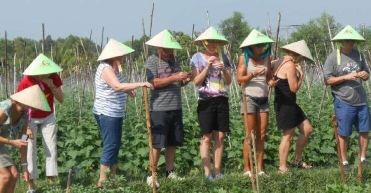 Full-Day Farming & Cooking Class at Agricultural Village - Activity Details