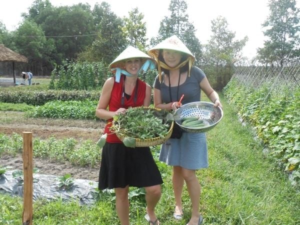 Full-Day Farming & Cooking Class at Agricultural Village - Reserve Now & Pay Later