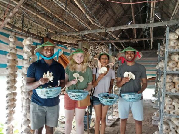 Full-Day Farming & Cooking Class at Agricultural Village - Common Questions