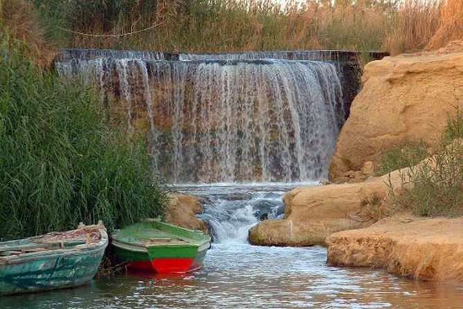 Full-Day Fayoum Oasis and Waterfalls of Wadi El-Rayan Tour From Cairo - Memorable and Unique Experiences