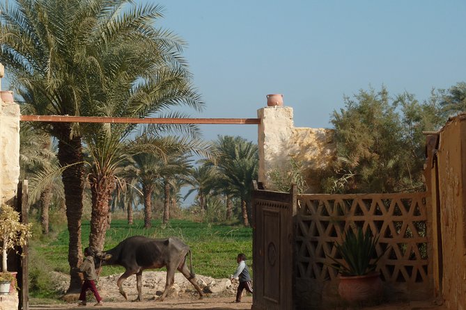 Full-Day Fayoum Oasis and Waterfalls of Wadi El-Rayan Tour From Cairo - Common Questions