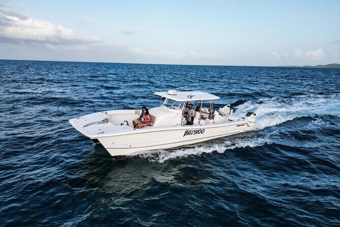 Full-Day Fishing Charter in East Coast, Puerto Rico - What to Expect From This Full-Day Fishing Trip