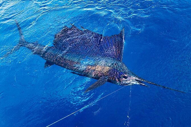 Full Day Fishing Charter - Inshore or Offshore - Targeted Fish Species