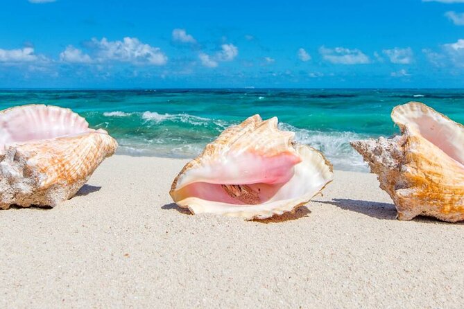 Full Day Fishing, Snorkeling, Iguana Island, Cruising, BBQ - Itinerary Details