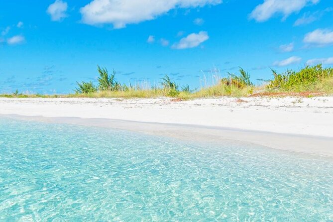 Full Day Fishing, Snorkeling, Iguana Island, Cruising, BBQ - Meeting Point Information