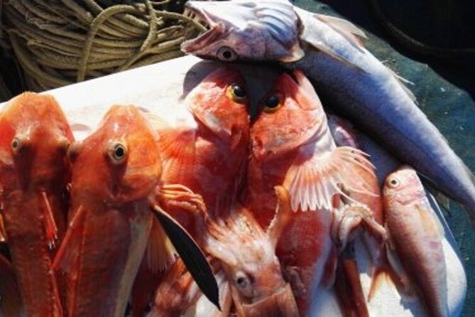Full-Day Fishing Tour in Capri With Lunch From Sorrento - What To Bring