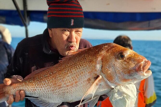 Full Day Fishing Trip on Auckland Waitemata Harbour - Good To Know