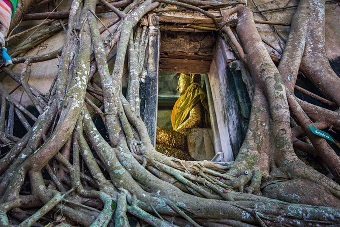 Full Day Folding Umbrella Market and Amphawa Floating Market - The Sum Up