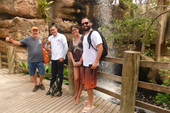 Full Day for Bird Watching With Visit to Isla Baru - Frequently Asked Questions