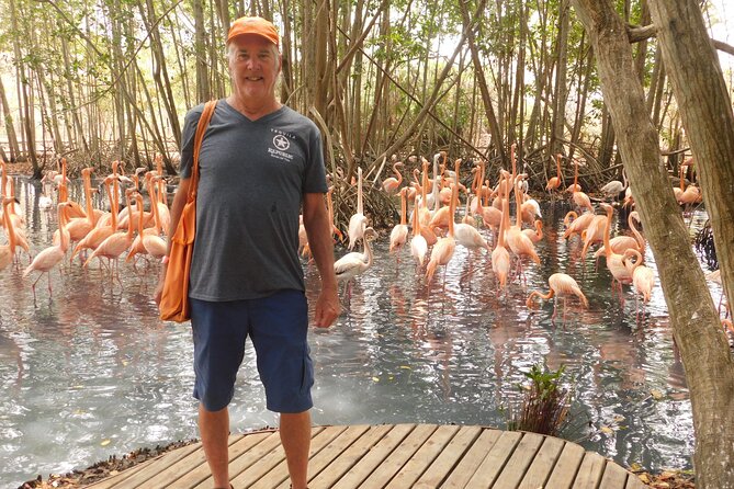 Full Day for Bird Watching With Visit to Isla Baru - The Sum Up