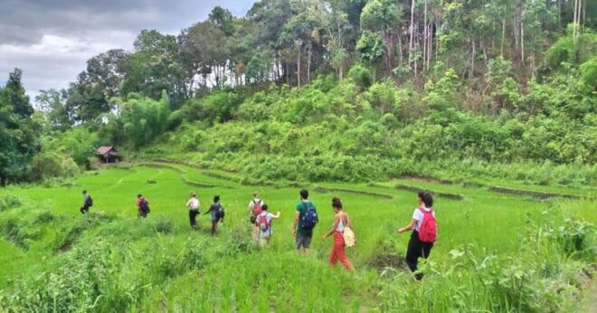 Full Day Forest Trekking - Full Description