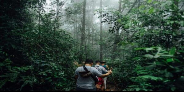 Full Day Forest Trekking - Refreshing Waterfall Experience